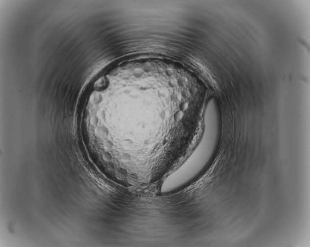 X0000097990780200804141141