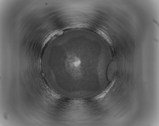 X0000097990781200804141140