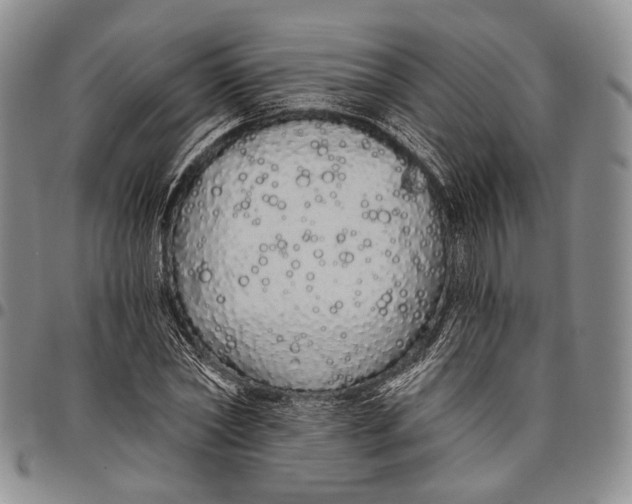 X0000097990782200804141140