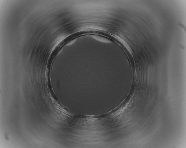 X0000097990783200804141140