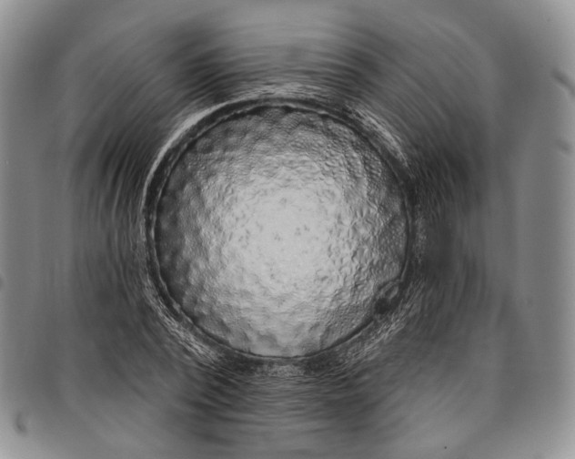 X0000097990784200804141140