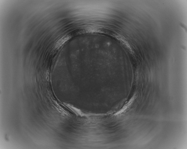 X0000097990785200804141140