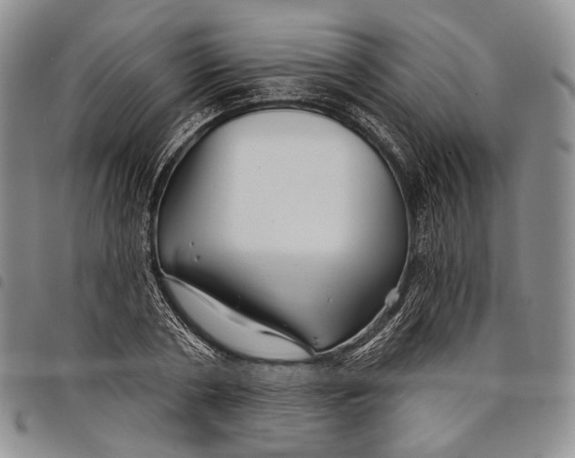 X0000097990786200804141140