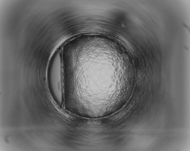 X0000097990788200804141140