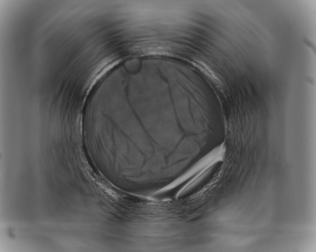 X0000097990790200804141140
