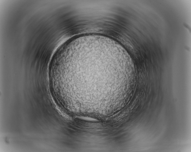 X0000097990792200804141140