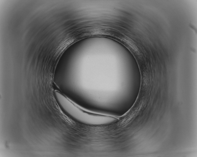 X0000097990793200804141140