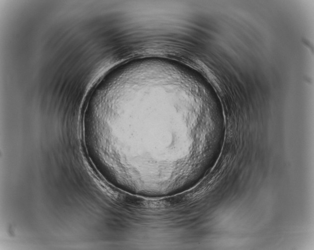 X0000097990795200804141140