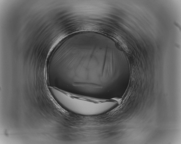 X0000097990796200804141140
