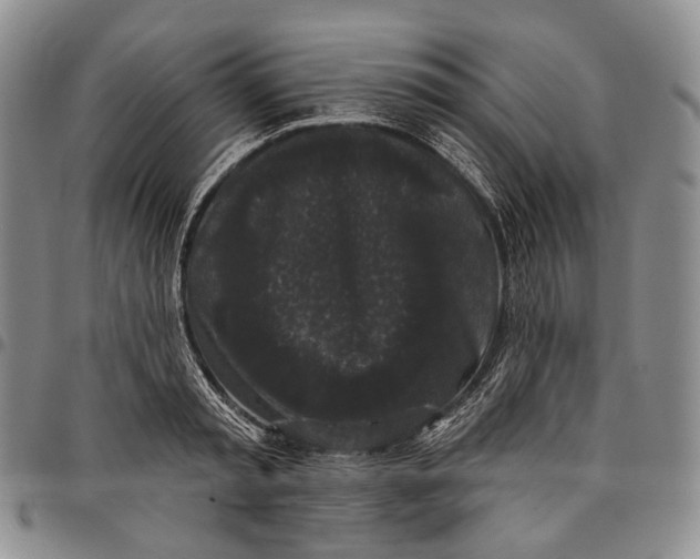 X0000097990797200804141140