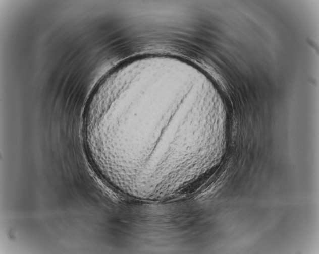 X0000097990799200804141140