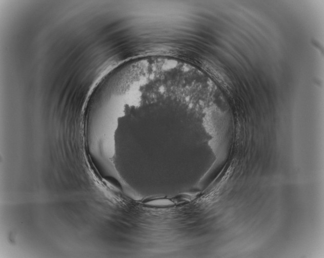 X0000097990800200804141140