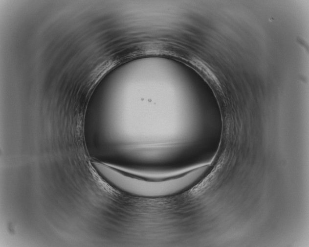 X0000097990801200804141140