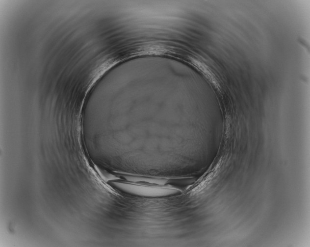 X0000097990802200804141140
