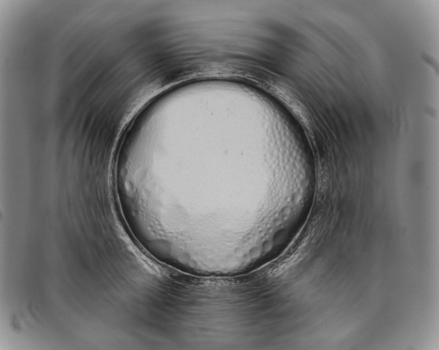 X0000097990803200804141140