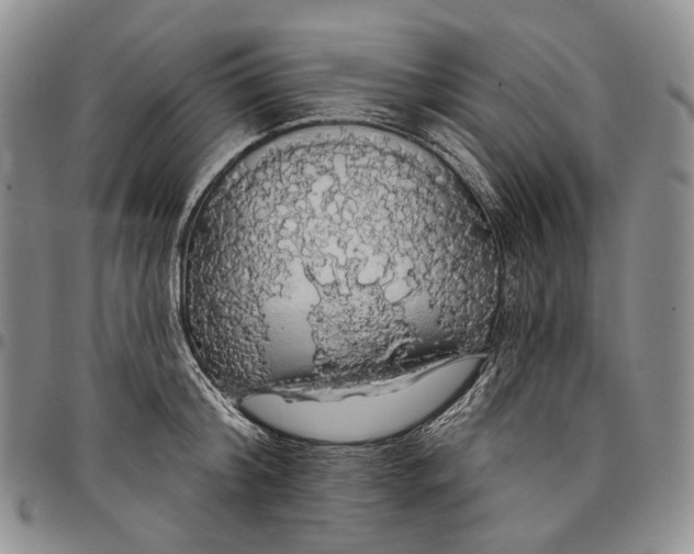 X0000097990804200804141140