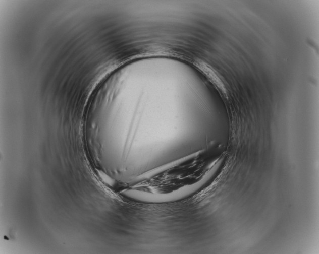 X0000097990805200804141140