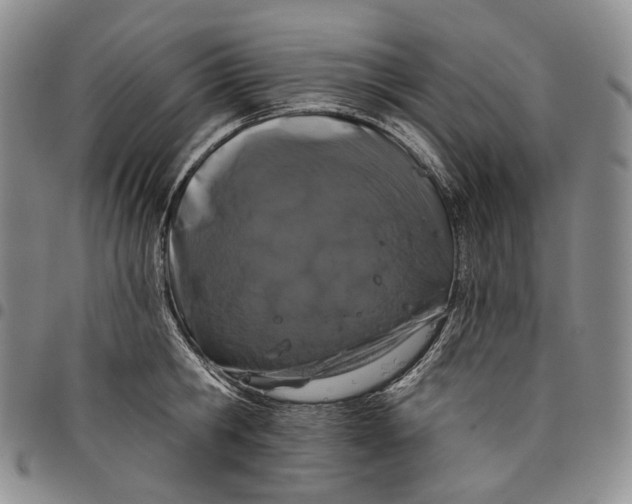 X0000097990806200804141140