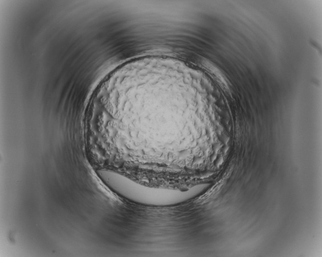 X0000097990808200804141140