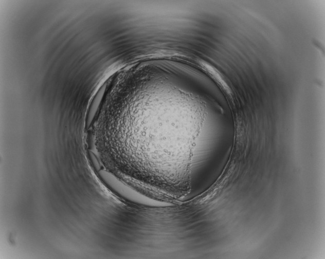 X0000097990810200804141140