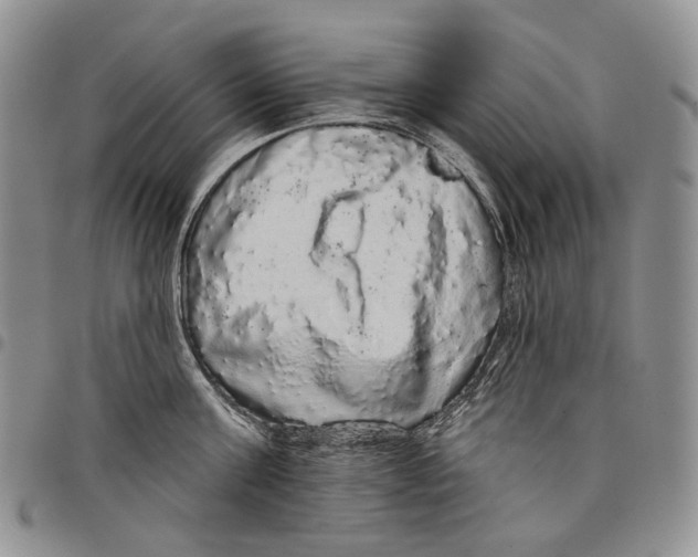 X0000097990811200804141140