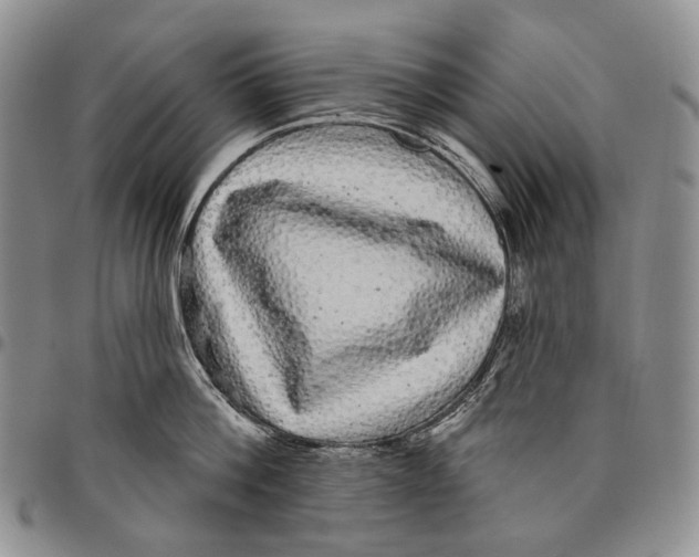 X0000097990812200804141140