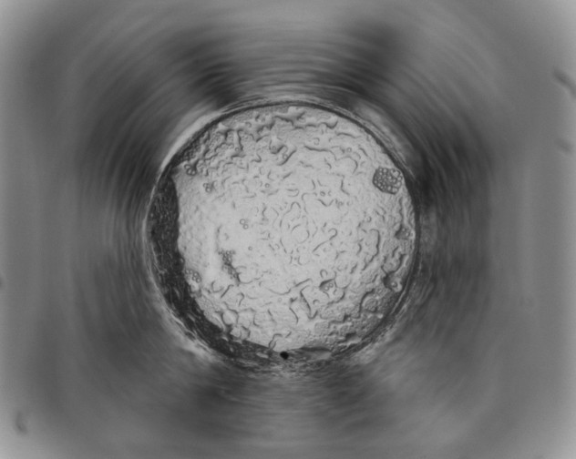 X0000097990814200804141140