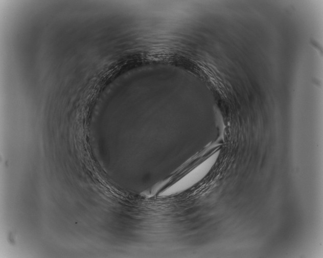 X0000097990817200804141139