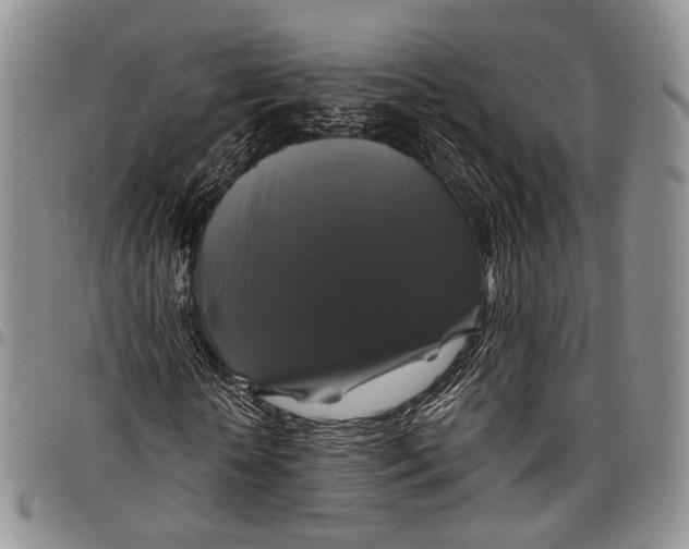 X0000097990818200804141139
