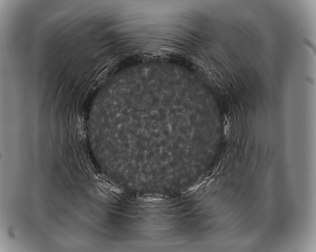 X0000097990819200804141139