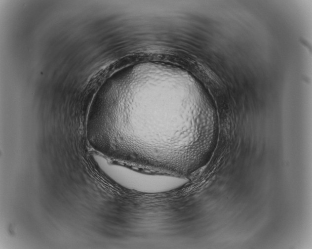 X0000097990821200804141139