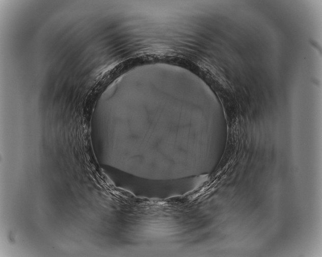 X0000097990822200804141139