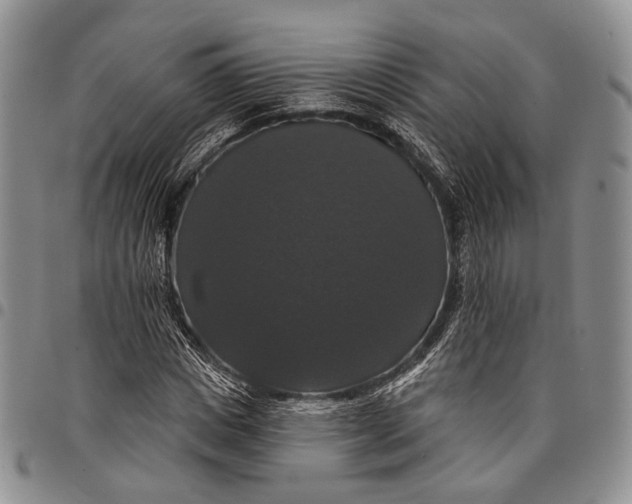 X0000097990825200804141139