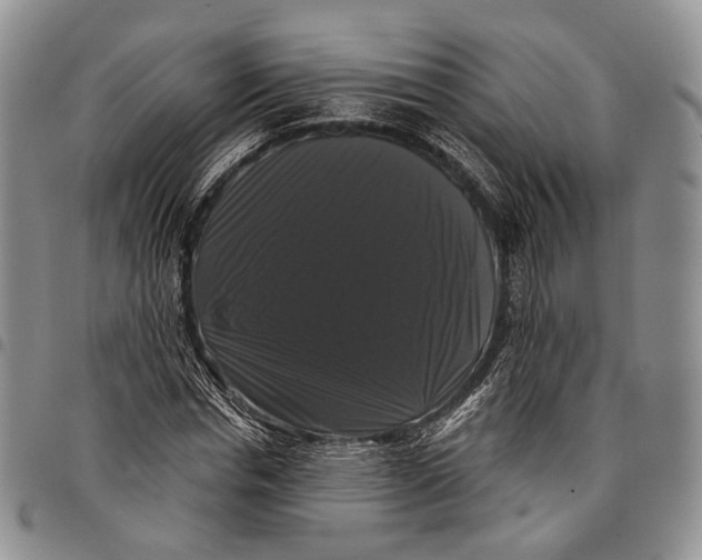 X0000097990826200804141139