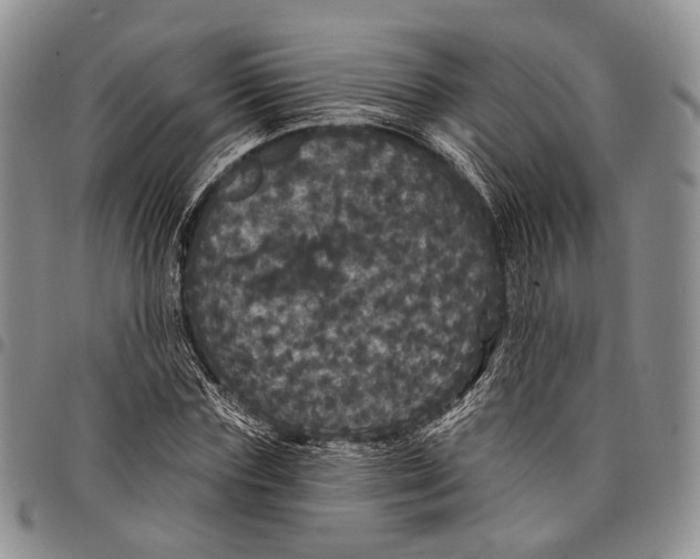 X0000097990827200804141139