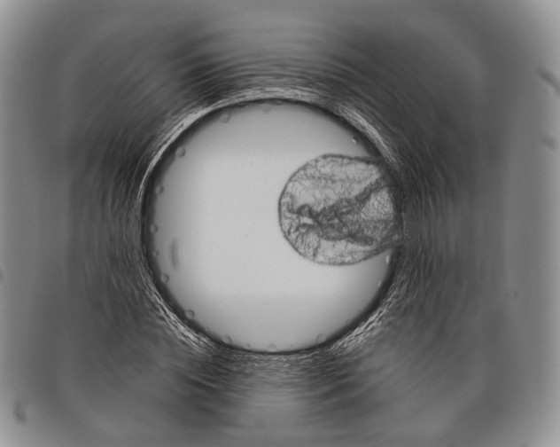 X0000097990828200804141139