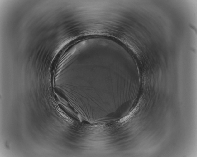 X0000097990830200804141139