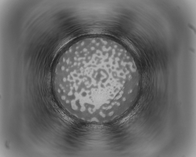 X0000097990831200804141139