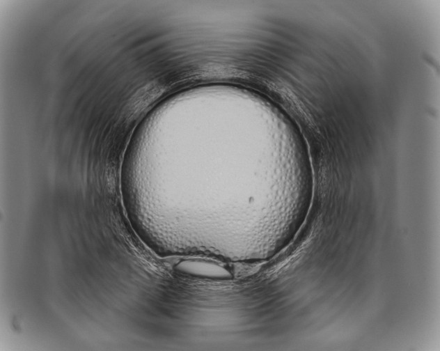 X0000097990833200804141139