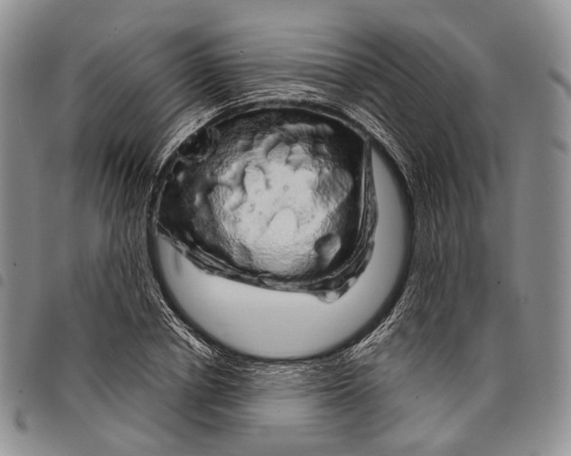 X0000097990834200804141139