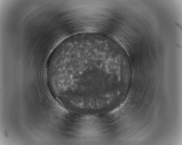 X0000097990835200804141139