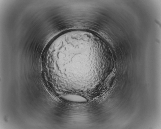 X0000097990838200804141139