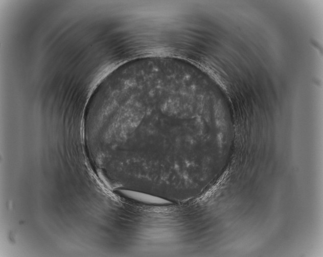 X0000097990839200804141139