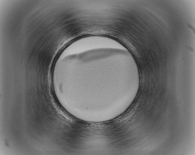 X0000097990840200804141139