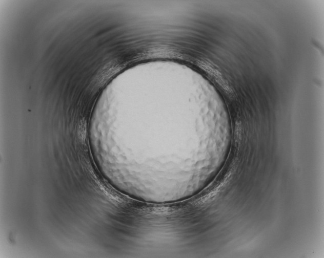 X0000097990841200804141140