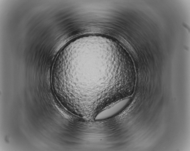 X0000097990842200804141140