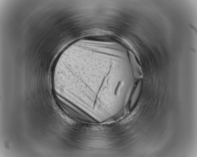 X0000097990843200804141140
