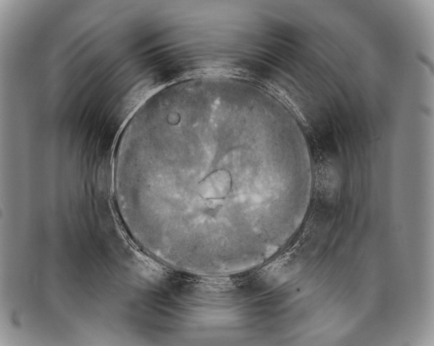 X0000097990844200804141140