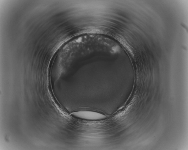 X0000097990845200804141140