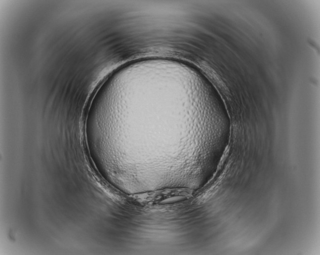 X0000097990846200804141140